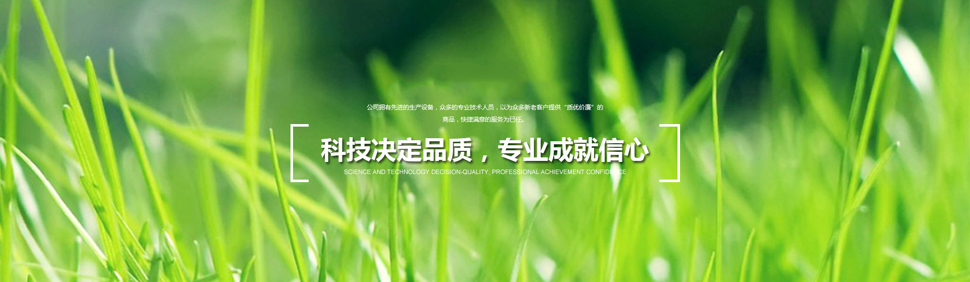 聲光Q驅(qū)